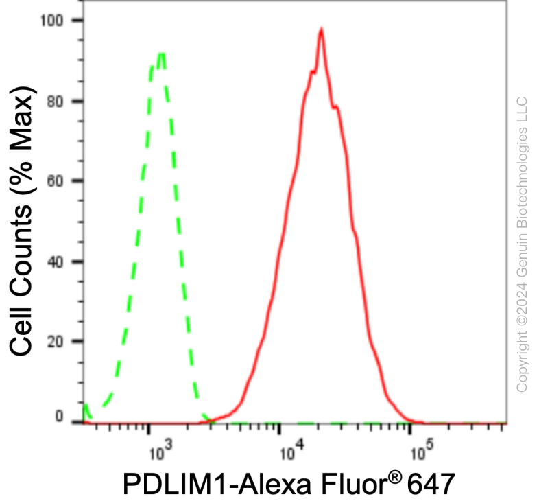 KD-Validated Anti-PDZ And LIM Domain 1 Rabbit Monoclonal Antibody ABG1672