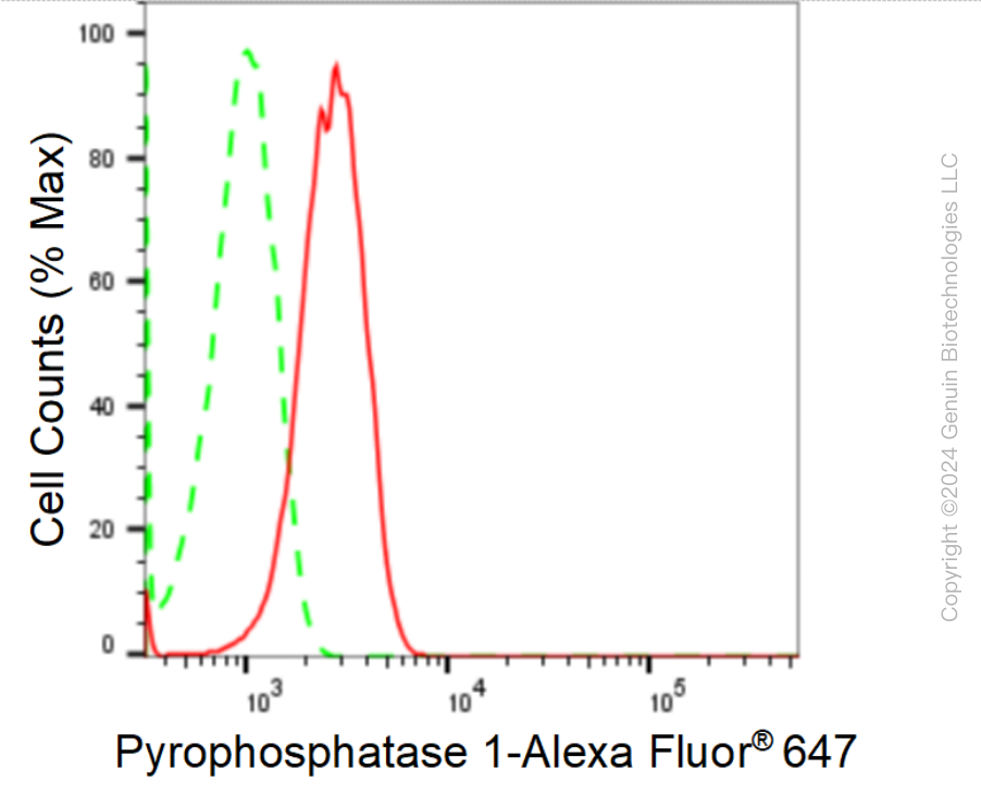 KD-Validated Anti-Inorganic Pyrophosphatase 1 Rabbit Monoclonal Antibody ABG1676