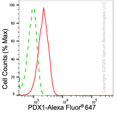 KD-Validated Anti-Pancreatic And Duodenal Homeobox 1 Rabbit Monoclonal Antibody ABG1677