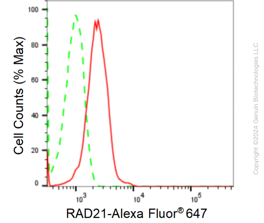 KD-Validated Anti-RAD21 Cohesin Complex Component Rabbit Monoclonal Antibody ABG1678