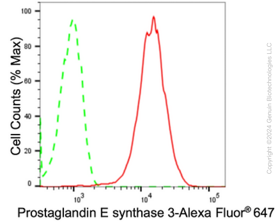 KD-Validated Anti-Prostaglandin E Synthase 3 Rabbit Monoclonal Antibody ABG1681