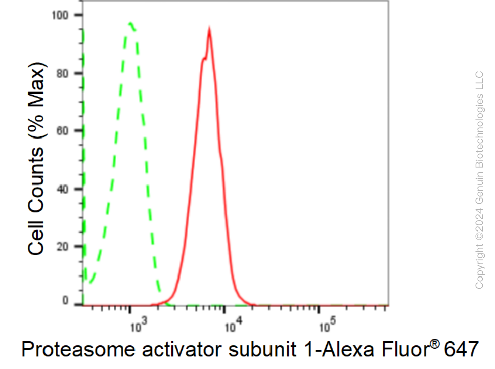 KD-Validated Anti-Proteasome Activator Subunit 1 Rabbit Monoclonal Antibody ABG1685