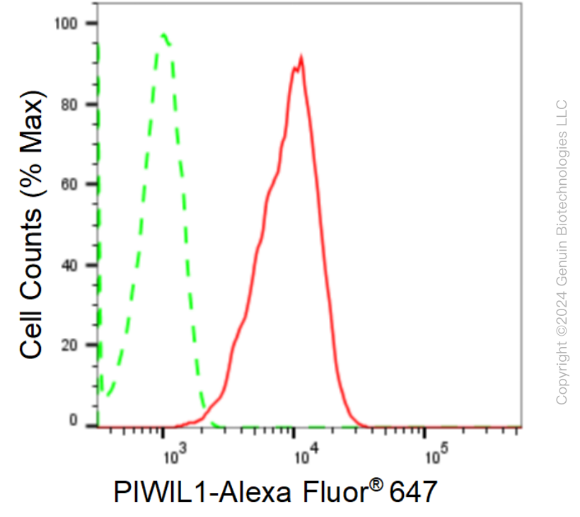 KD-Validated Anti-PIWIL1 Rabbit Monoclonal Antibody ABG1690