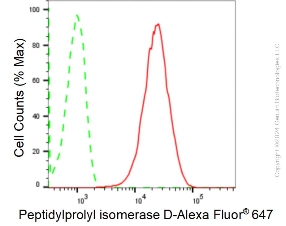 KD-Validated Anti-Peptidylprolyl Isomerase D Rabbit Monoclonal Antibody ABG1692