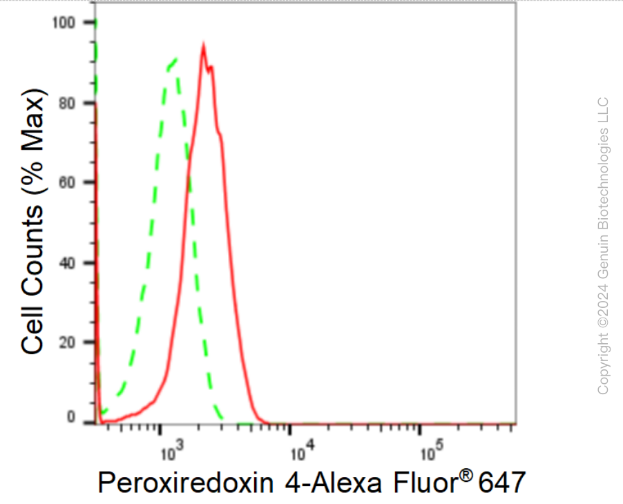 KD-Validated Anti-Peroxiredoxin 4 Rabbit Monoclonal Antibody ABG1693