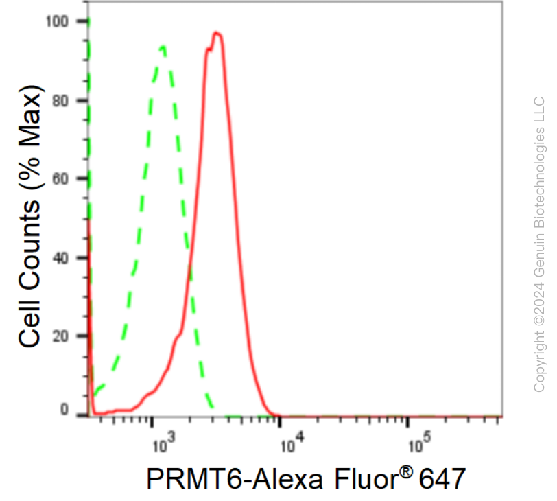 KD-Validated Anti-PRMT6 Rabbit Monoclonal Antibody ABG1694