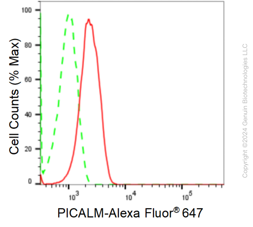 KD-Validated Anti-PICALM Rabbit Monoclonal Antibody ABG1696