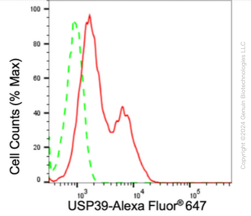 KD-Validated Anti-Ubiquitin Specific Peptidase 39 Rabbit Monoclonal Antibody ABG1700
