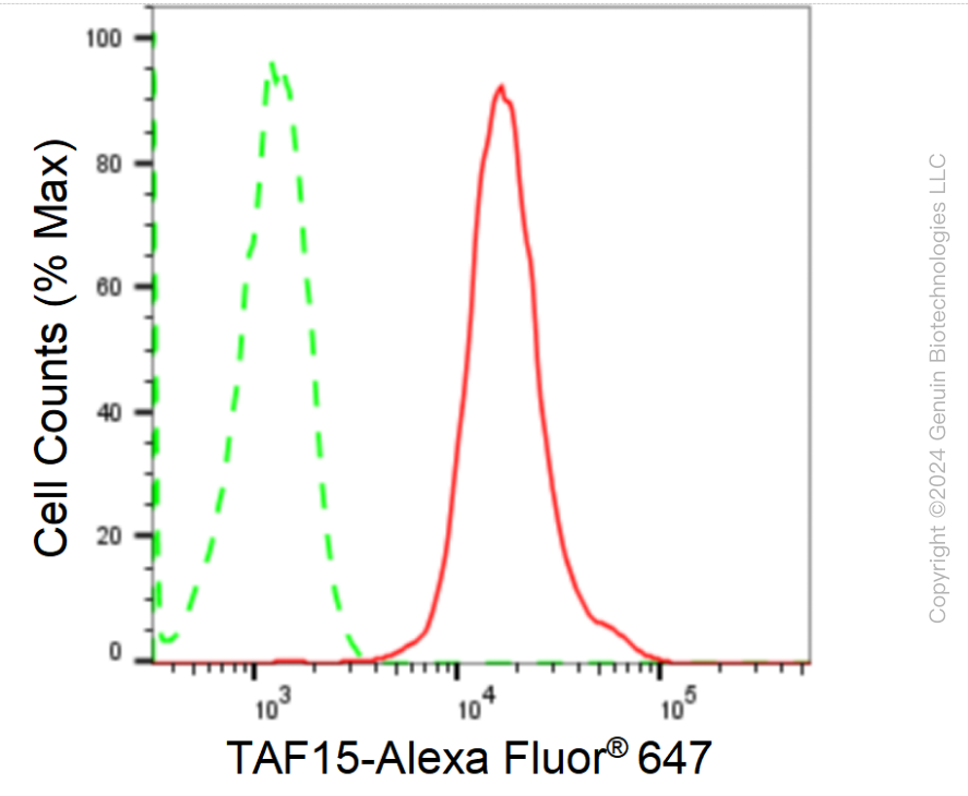 KD-Validated Anti-TAF15 Rabbit Monoclonal Antibody ABG1701