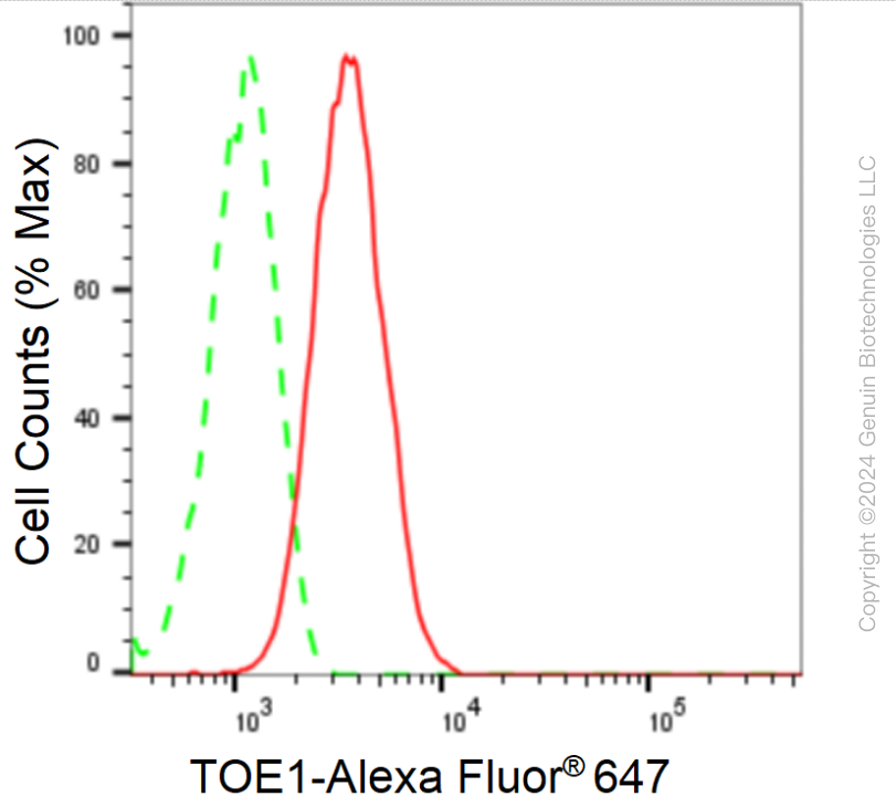 KD-Validated Anti-TOE1 Rabbit Monoclonal Antibody ABG1702