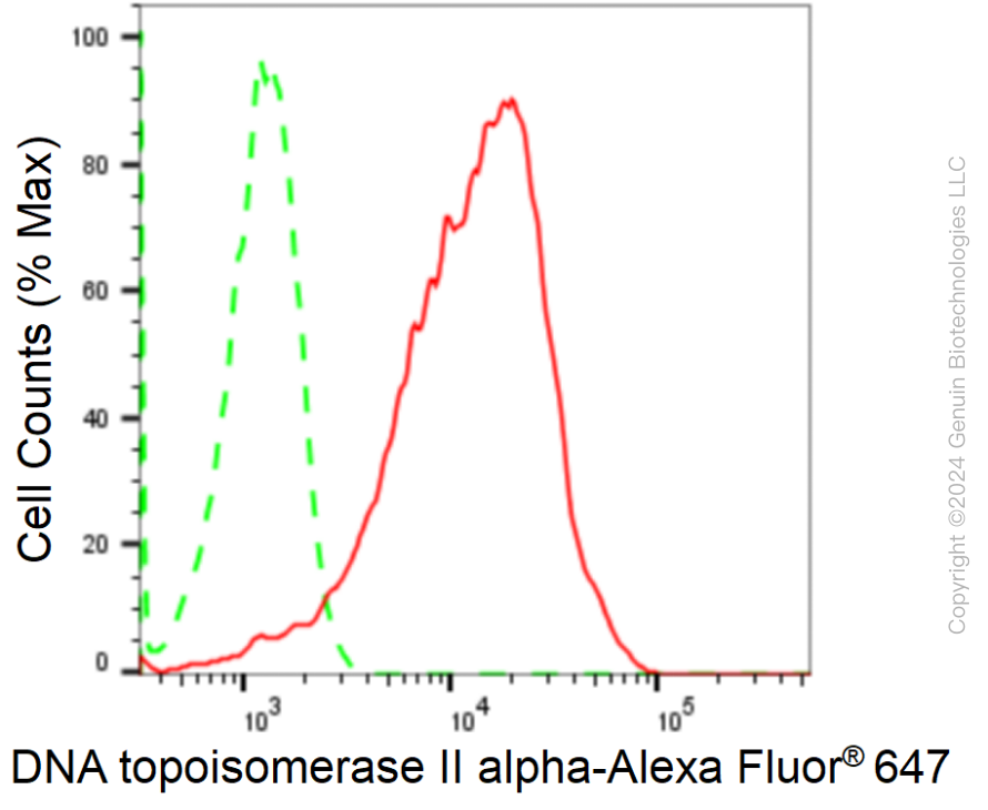 KD-Validated Anti-Topoisomerase II alpha Rabbit Monoclonal Antibody ABG1704