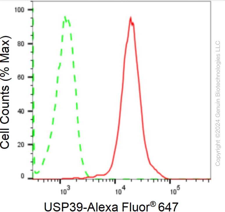 KD-Validated Anti-Ubiquitin Specific Peptidase 39 Rabbit Monoclonal Antibody ABG1705