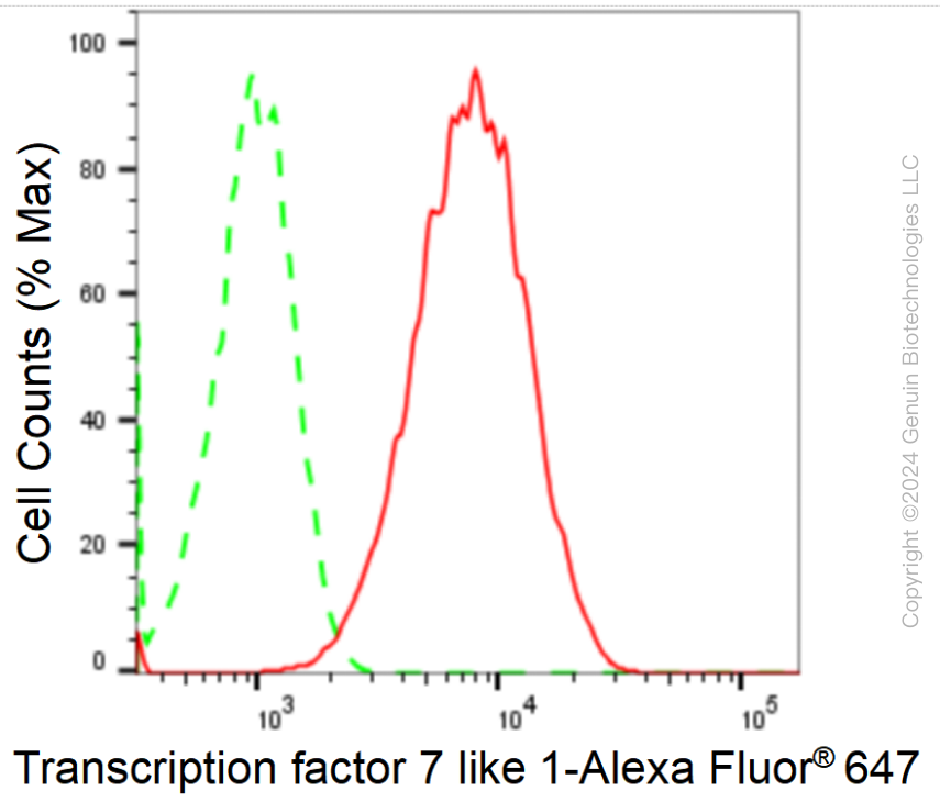 KD-Validated Anti-Transcription Factor 7 Like 1 Rabbit Monoclonal Antibody ABG1706