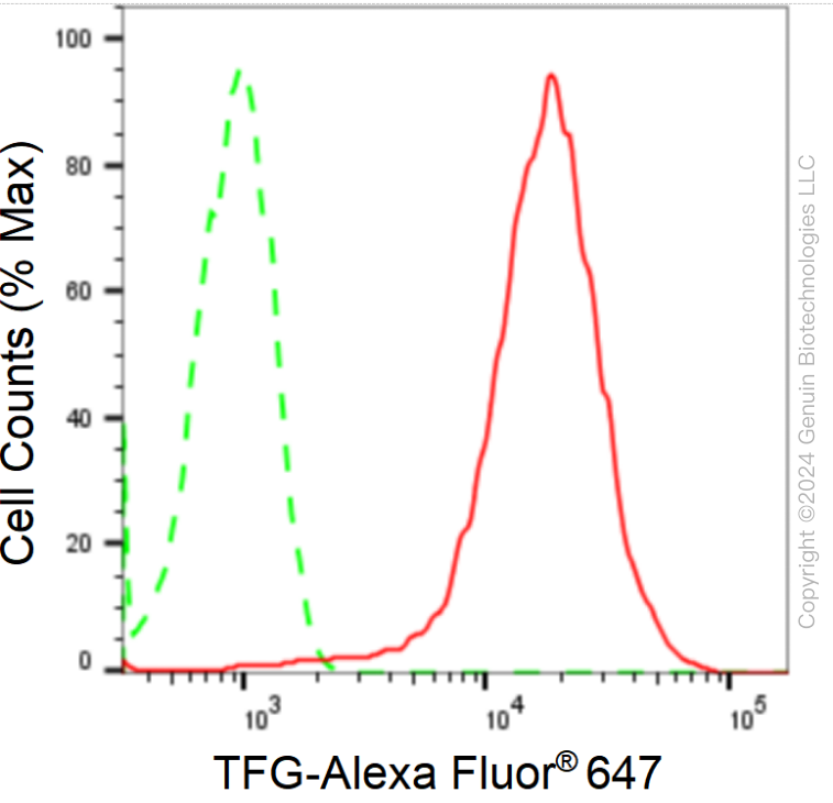 KD-Validated Anti-TRK fused gene Rabbit Monoclonal Antibody ABG1709