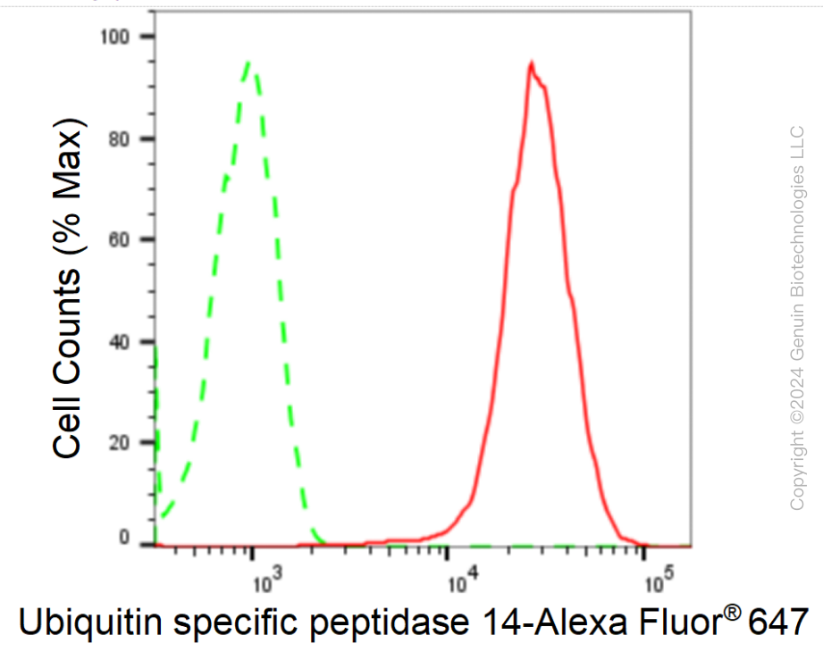 KD-Validated Anti-Ubiquitin Specific Peptidase 14 Rabbit Monoclonal Antibody ABG1710