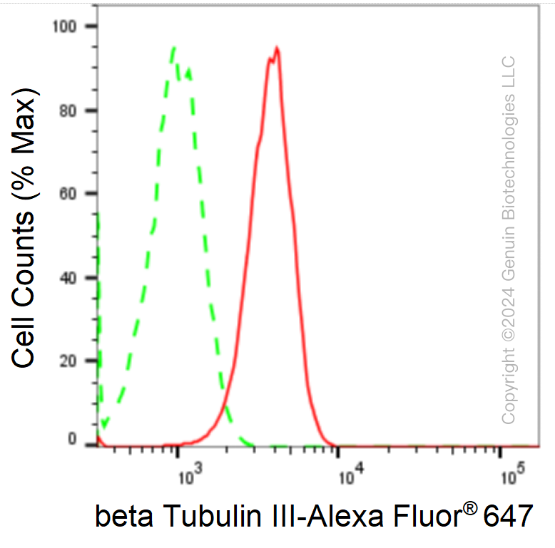 KD-Validated Anti-Tubulin Beta 3 Class III Rabbit Monoclonal Antibody ABG1713