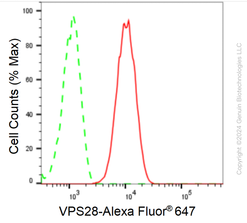 KD-Validated Anti-VPS28 Subunit Of ESCRT-I Rabbit Monoclonal Antibody ABG1715