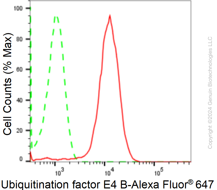 KD-Validated Anti-Ubiquitination Factor E4B Rabbit Monoclonal Antibody ABG1716