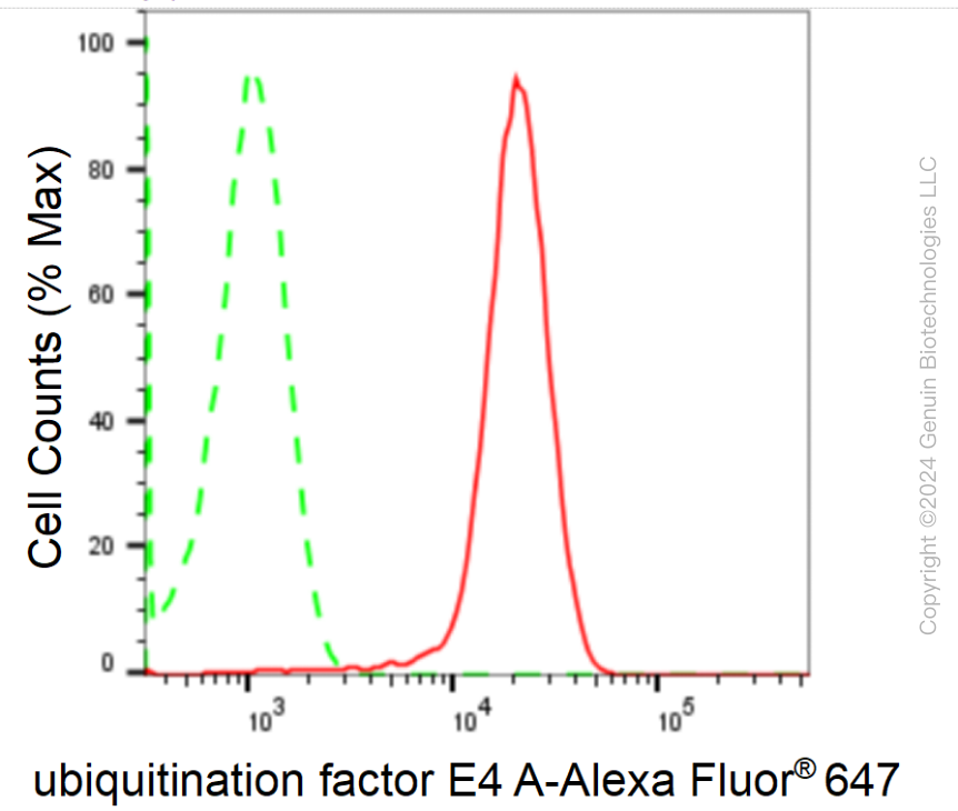 KD-Validated Anti-Ubiquitination Factor E4A Rabbit Monoclonal Antibody ABG1717