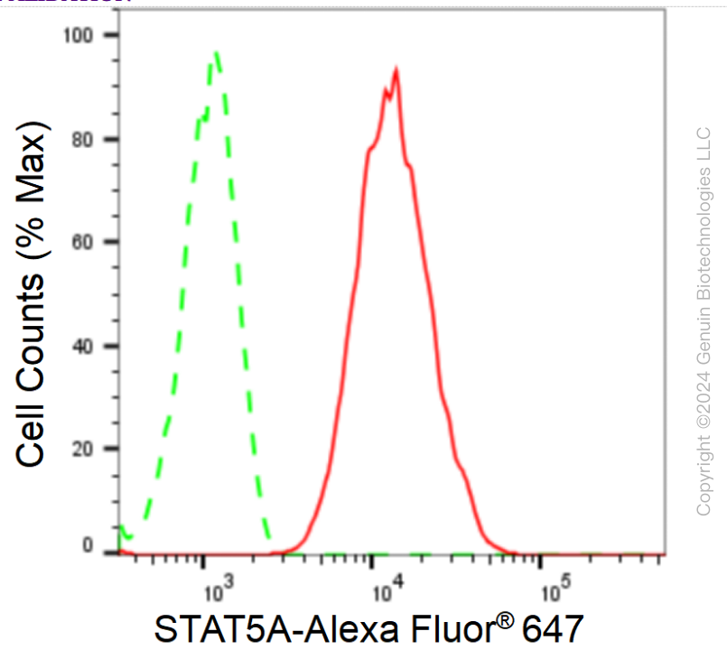 KD-Validated Anti-STAT5A Rabbit Monoclonal Antibody ABG1719