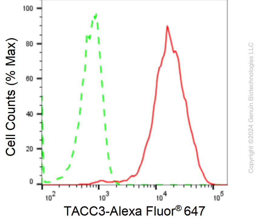 KD-Validated Anti-TACC3 Rabbit Monoclonal Antibody ABG1720