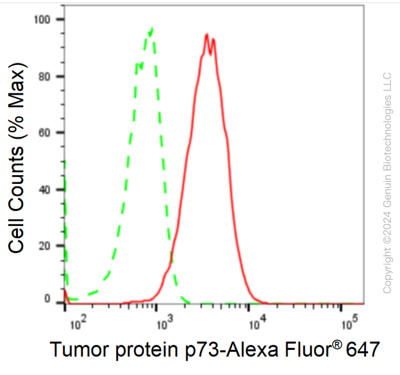 KD-Validated Anti-Tumor Protein P73 Rabbit Monoclonal Antibody ABG1722