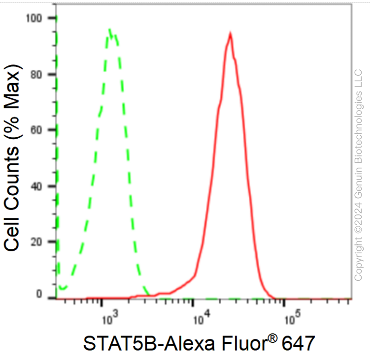 KD-Validated Anti-STAT5B Rabbit Monoclonal Antibody ABG1724