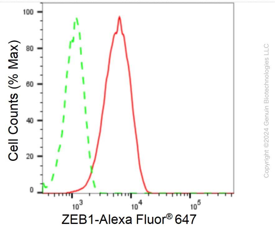 KD-Validated Anti-Zinc Finger E-Box Binding Homeobox 1 Rabbit Monoclonal Antibody ABG1725
