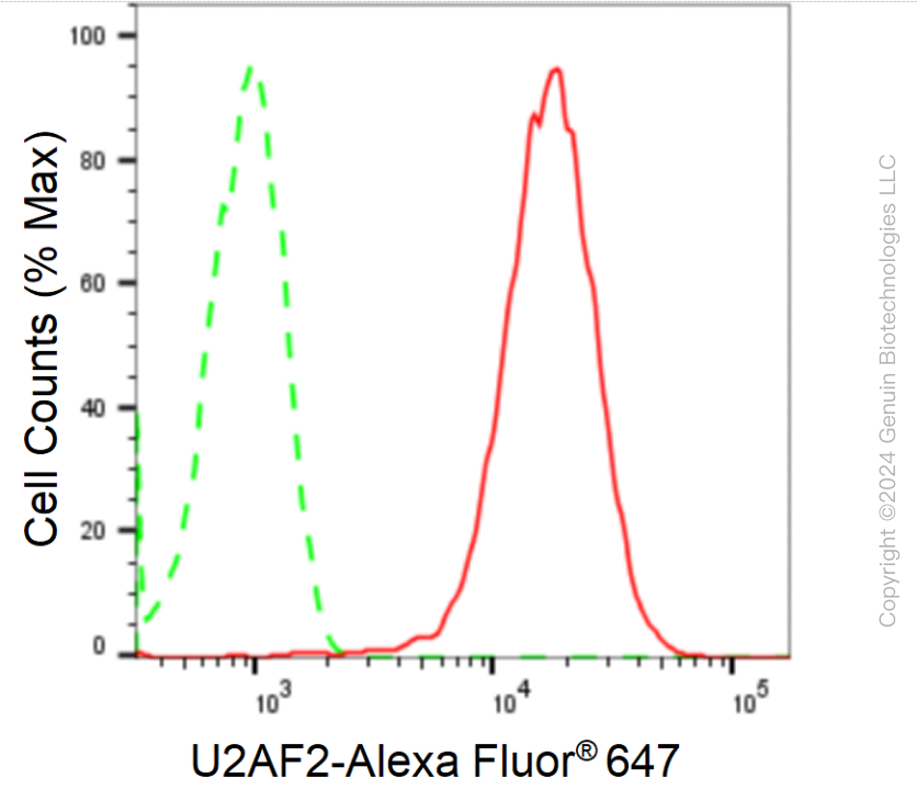 KD-Validated Anti-U2AF2 Rabbit Monoclonal Antibody ABG1730