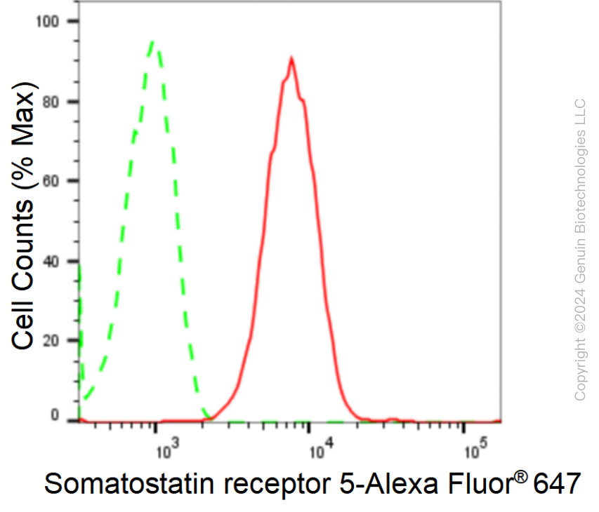 KD-Validated Anti-Somatostatin Receptor 5 Rabbit Monoclonal Antibody ABG1734