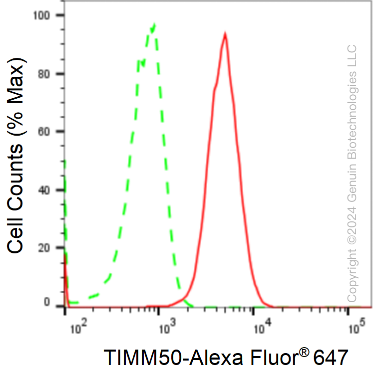 KD-Validated Anti-TIMM50 Rabbit Monoclonal Antibody ABG1735