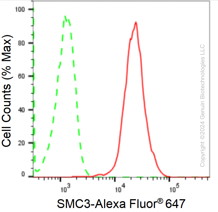 KD-Validated Anti-SMC3 Rabbit Monoclonal Antibody ABG1737