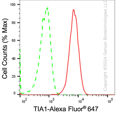 KD-Validated Anti-TIA1 Rabbit Monoclonal Antibody ABG1738