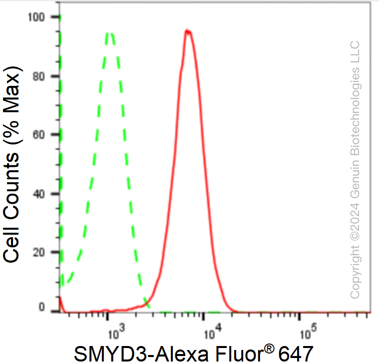 KD-Validated Anti-SMYD3 Rabbit Monoclonal Antibody ABG1739