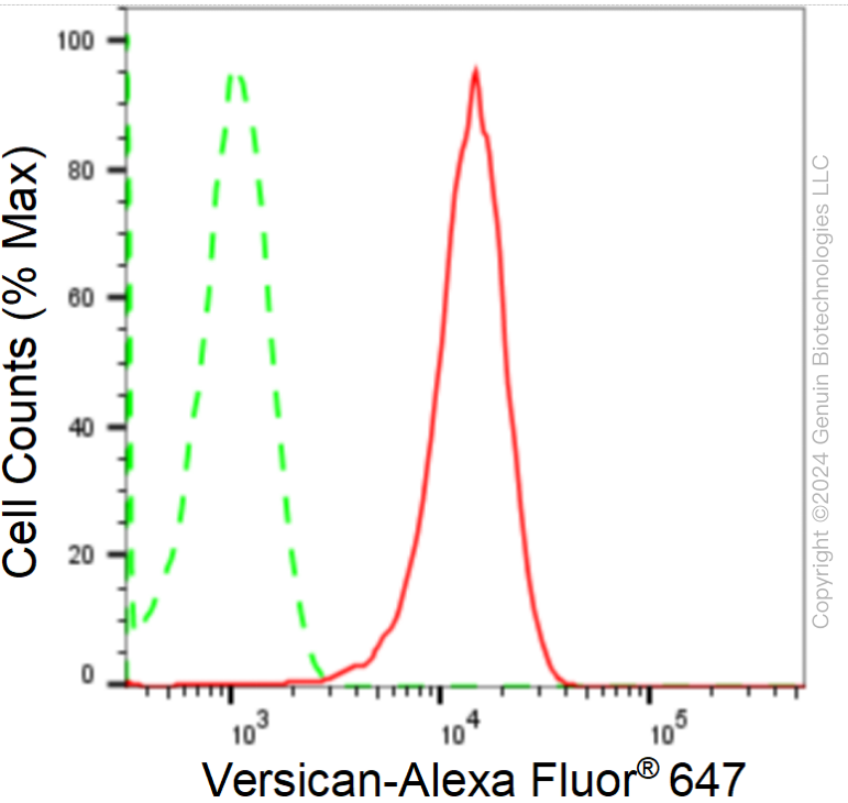 KD-Validated Anti-Versican Rabbit Monoclonal Antibody ABG1743