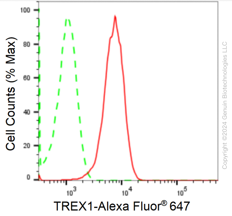 KD-Validated Anti-Three Prime Repair Exonuclease 1 Rabbit Monoclonal Antibody ABG1746