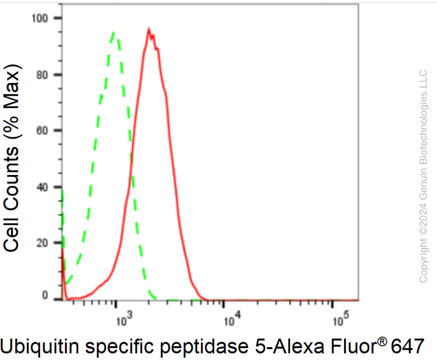 KD-Validated Anti-Ubiquitin Specific Peptidase 5 Rabbit Monoclonal Antibody ABG1747