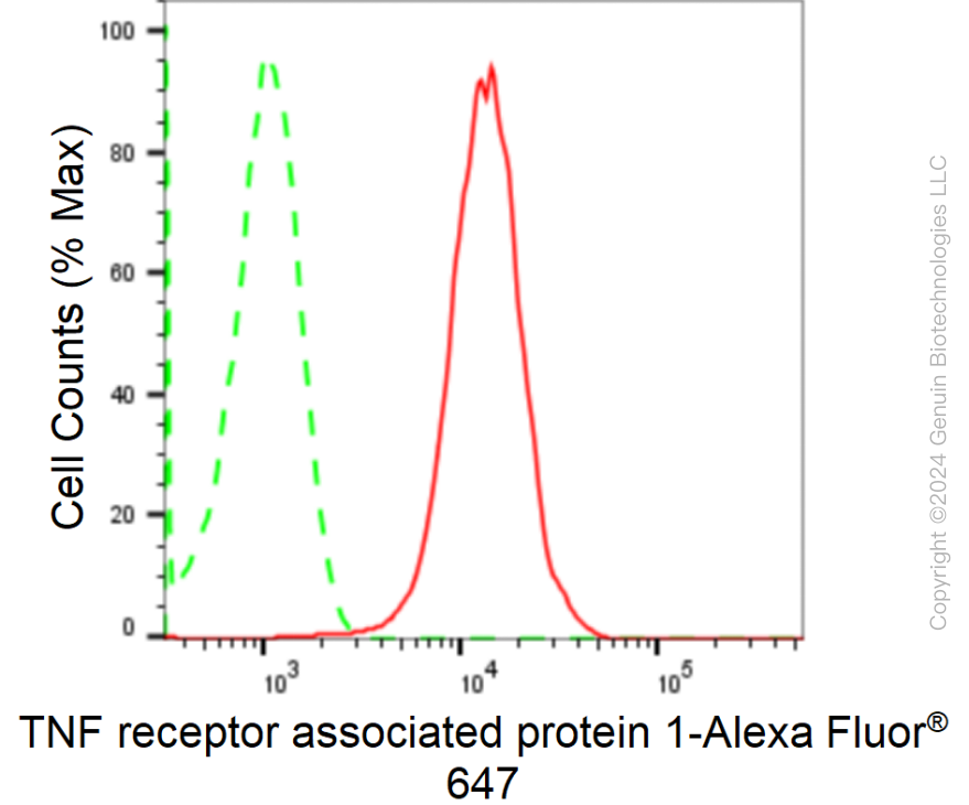 KD-Validated Anti-TNF Receptor Associated Protein 1 Rabbit Monoclonal Antibody ABG1749