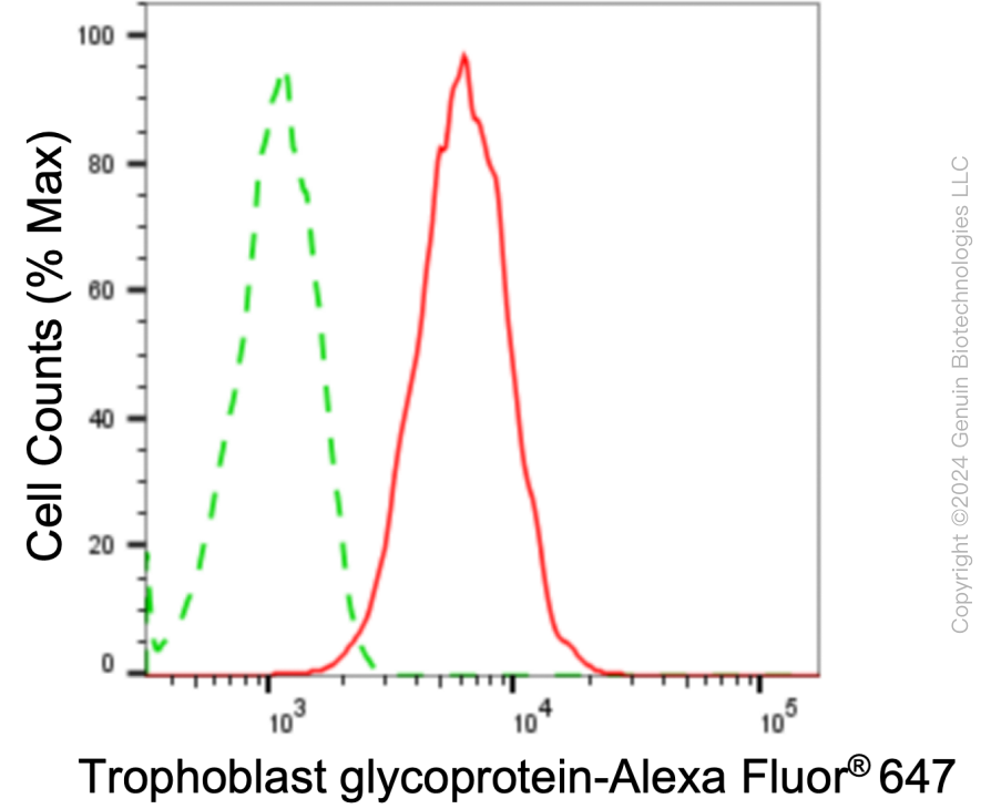 KD-Validated Anti-Trophoblast Glycoprotein Rabbit Monoclonal Antibody ABG1751