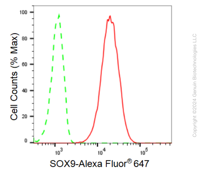 KD-Validated Anti-SRY-Box Transcription Factor 9 Rabbit Monoclonal Antibody ABG1752