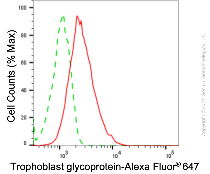 KD-Validated Anti-Trophoblast Glycoprotein Rabbit Monoclonal Antibody ABG1753