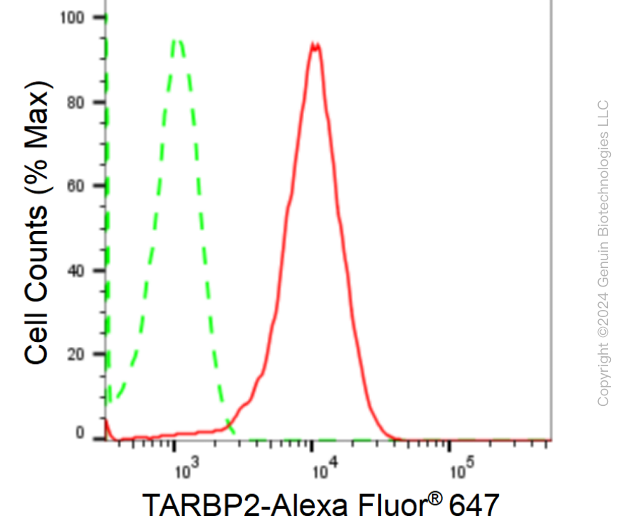 KD-Validated Anti-TARBP2 Rabbit Monoclonal Antibody ABG1754