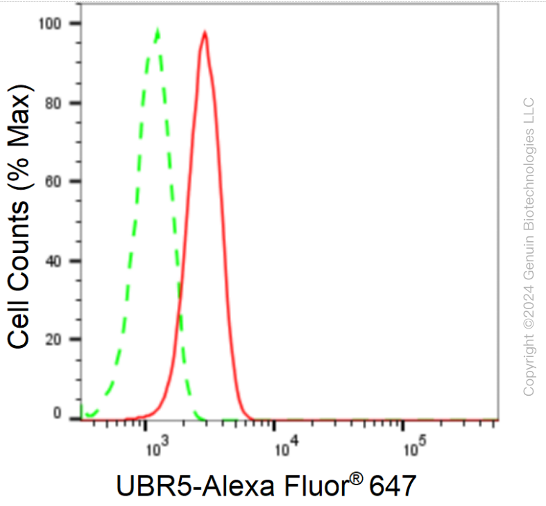 KD-Validated Anti-UBR5 Rabbit Monoclonal Antibody ABG1756