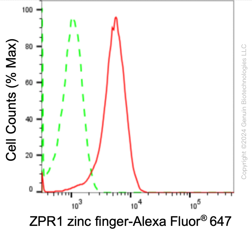 KD-Validated Anti-ZPR1 Zinc Finger Rabbit Monoclonal Antibody ABG1758