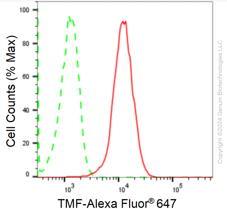 KD-Validated Anti-TATA Element Modulatory Factor 1 Rabbit Monoclonal Antibody ABG1762