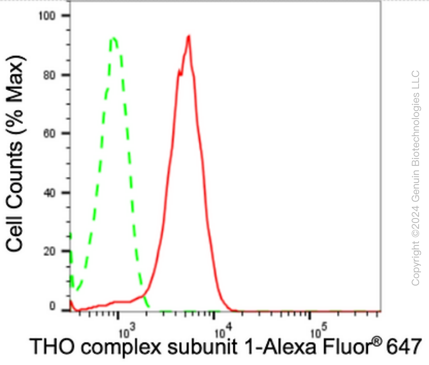 KD-Validated Anti-THO Complex Subunit 1 Rabbit Monoclonal Antibody ABG1763