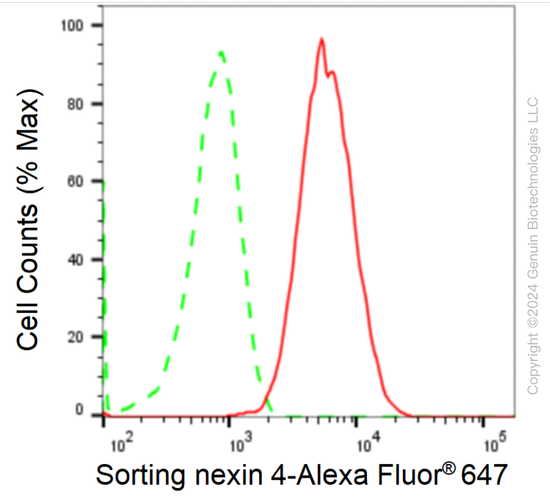 KD-Validated Anti-Sorting Nexin 4 Rabbit Monoclonal Antibody ABG1764