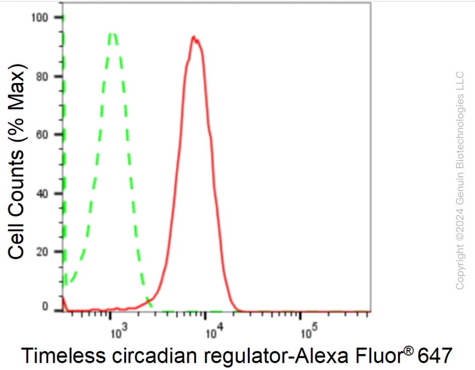 KD-Validated Anti-Timeless Circadian Regulator Rabbit Monoclonal Antibody ABG1767