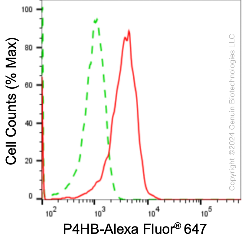 KD-Validated Anti-Prolyl 4-Hydroxylase Subunit Beta Mouse Monoclonal Antibody ABG1780