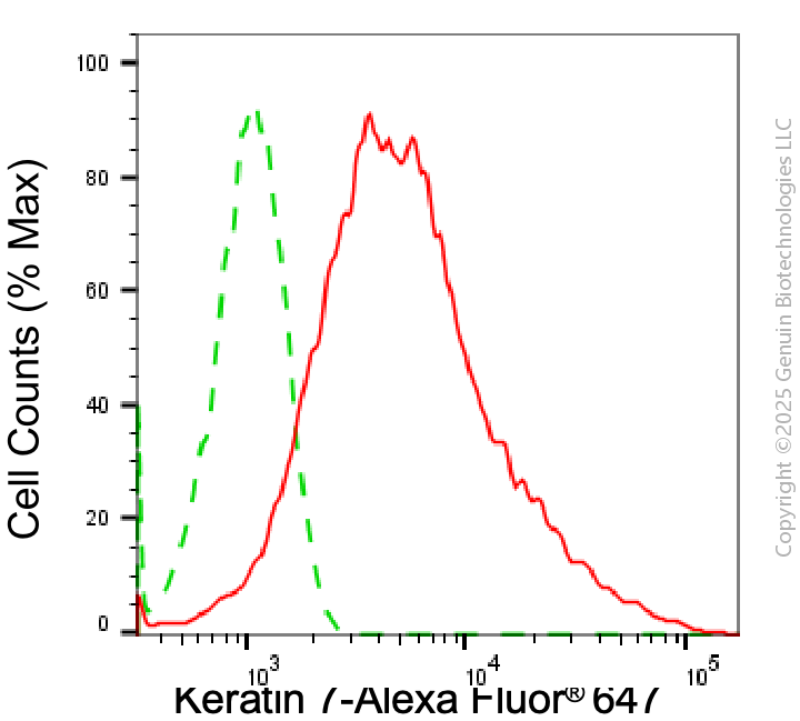 KD-Validated Anti-Keratin 7 Rabbit Monoclonal Antibody ABG1785